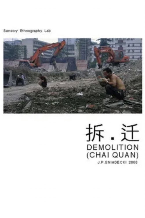 Demolition (2008) poster