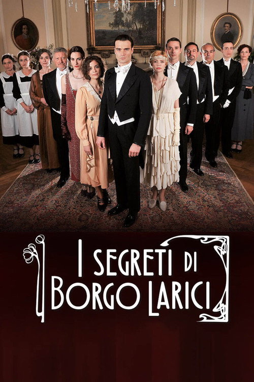 I Segreti Di Borgo Larici (2014) poster