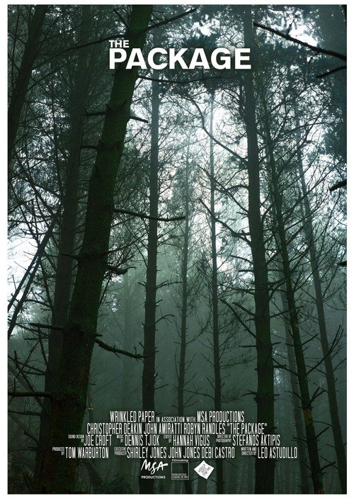The Package (2018) poster