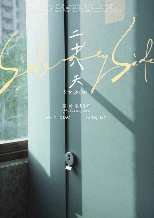 Side by Side (2024) poster
