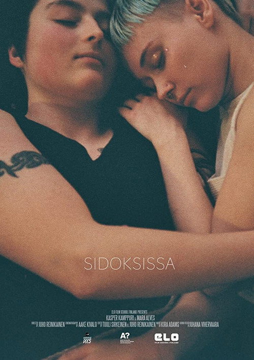 Entangled (2018) poster