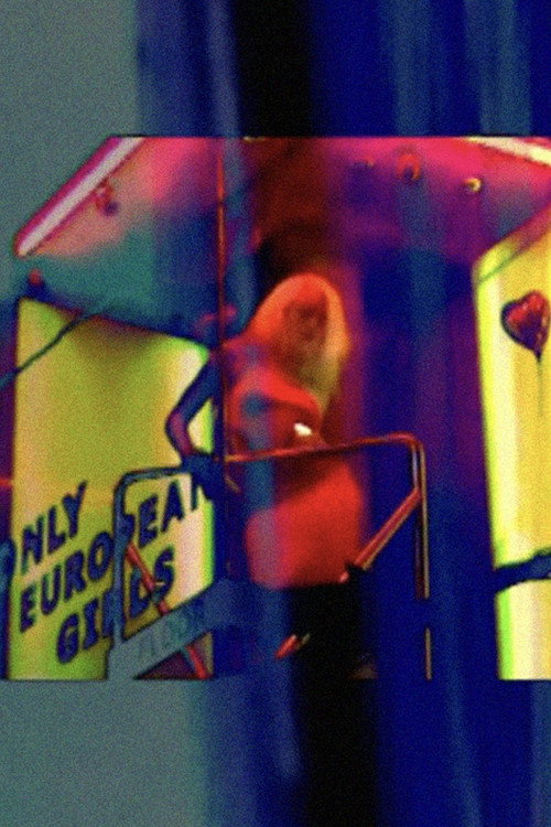 Transience (2007) poster