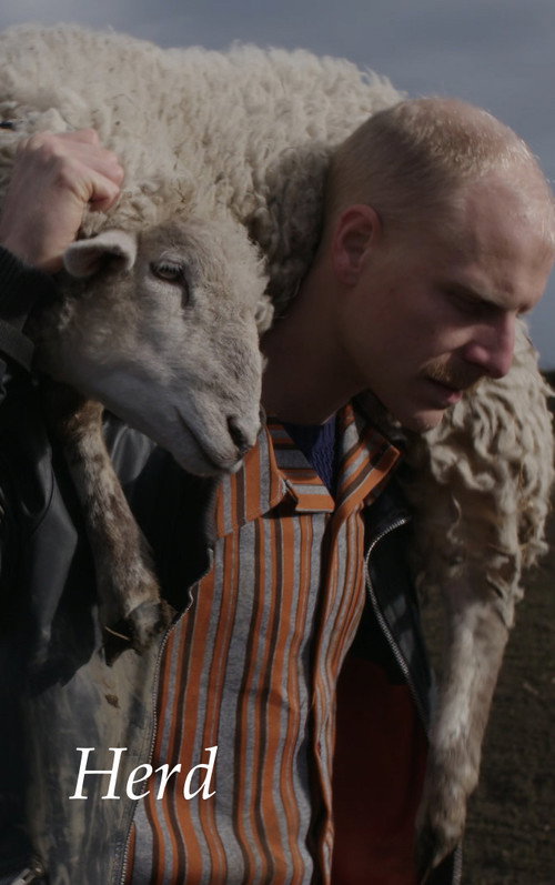 Herd (2017) poster