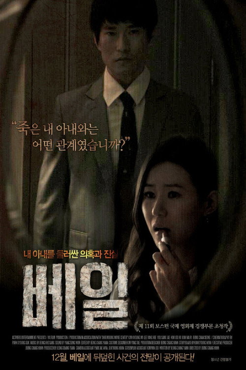 Veil (2013) poster