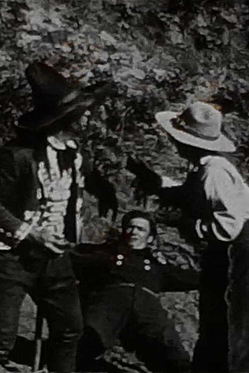 An Arizona Wooing