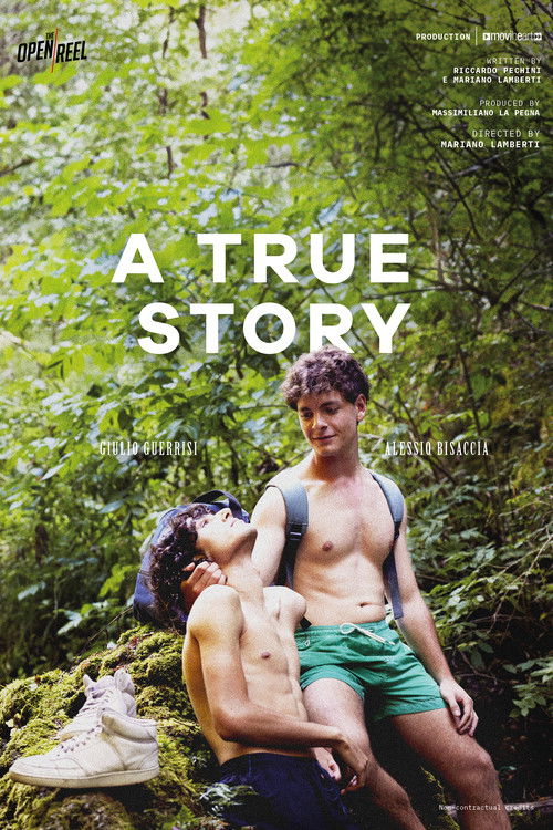 A True Story (2025) poster