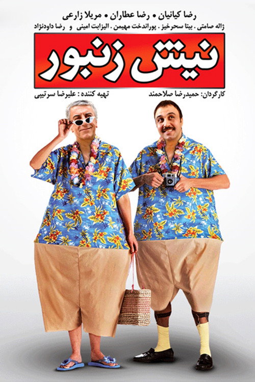 Nish Zanbor