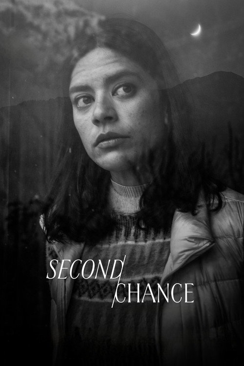 Second Chance (2025) poster
