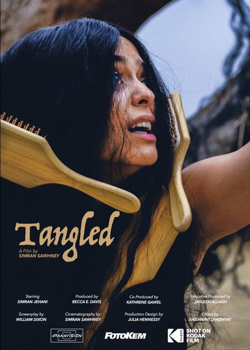 Tangled (2025) poster