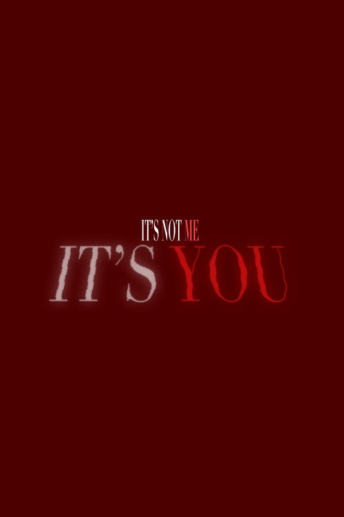 It's Not Me, It's You (2025) poster