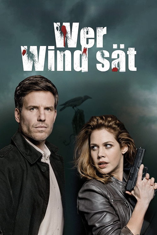 Wer Wind sät