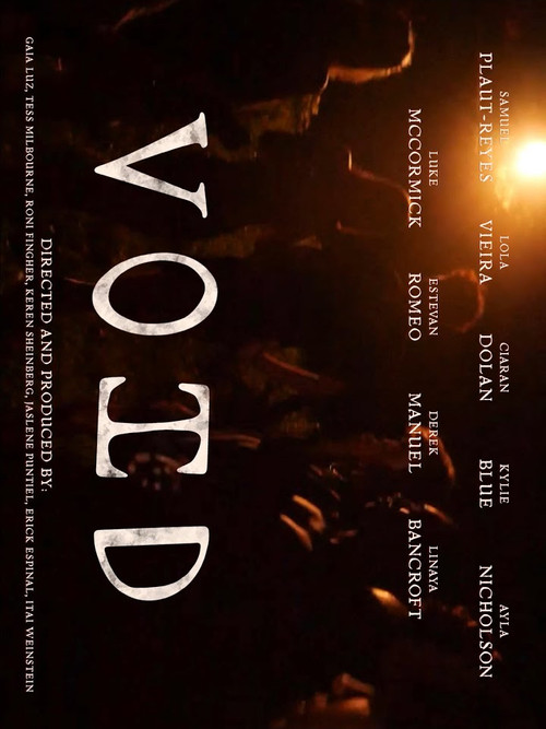 VOID (2025) poster