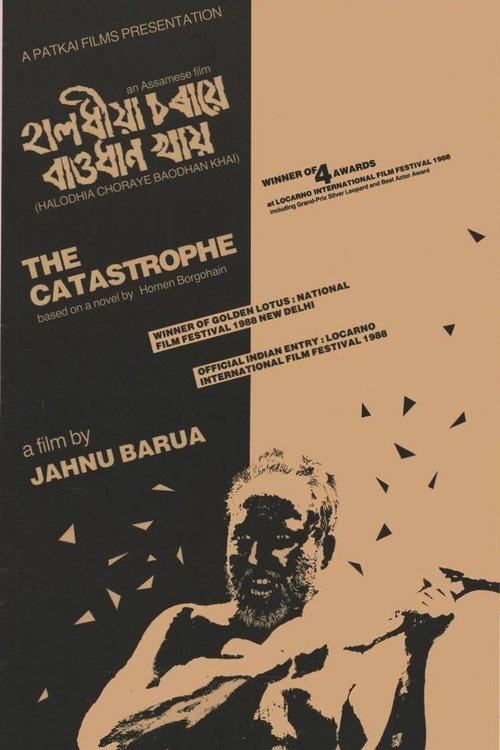 The Catastrophe (1987) poster
