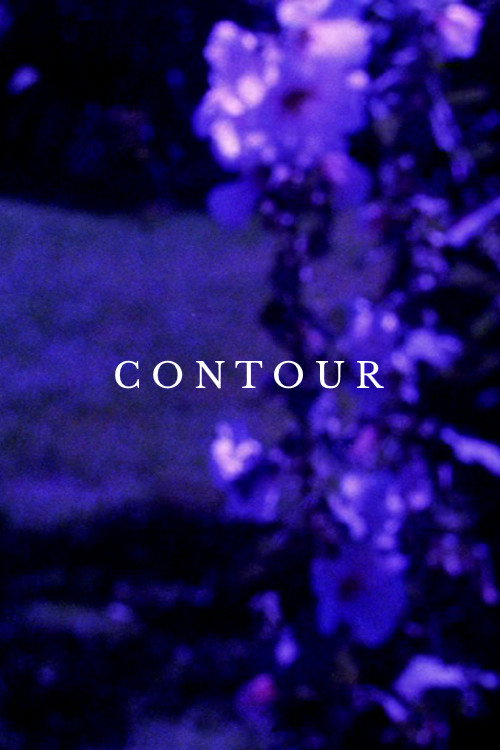 Contour (2011) poster