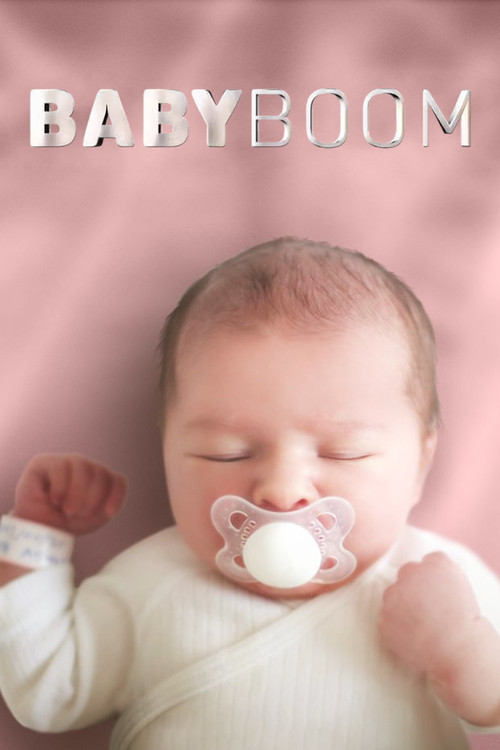 Baby boom (2011) poster