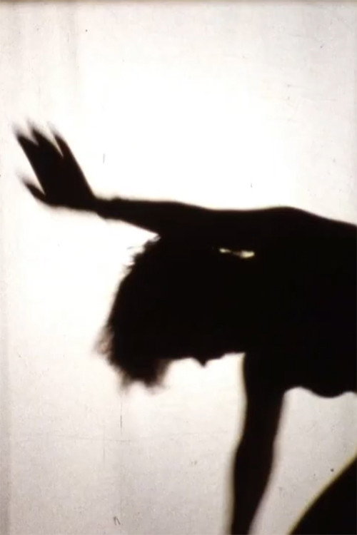 Freefall (1983) poster