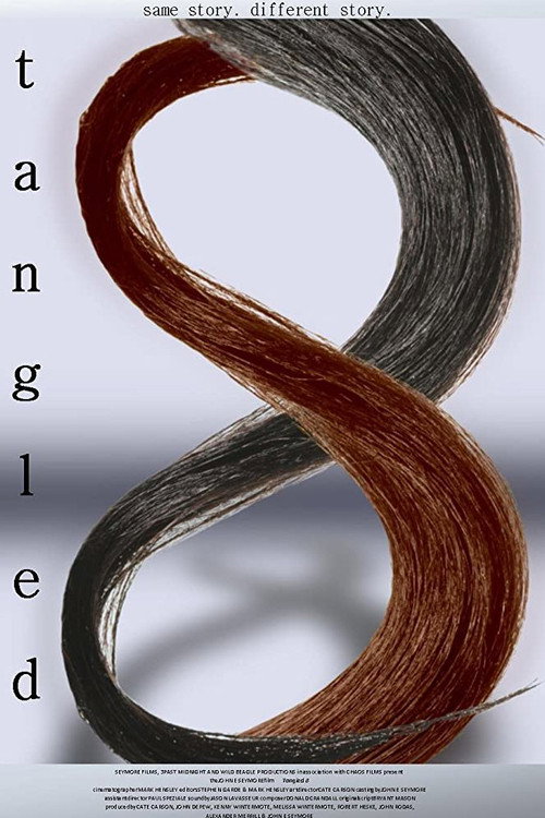 Tangled 8 (2015) poster