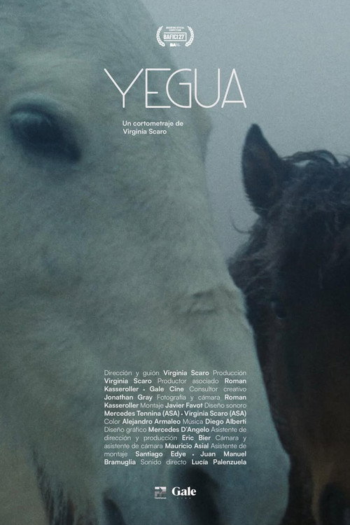 Mare poster