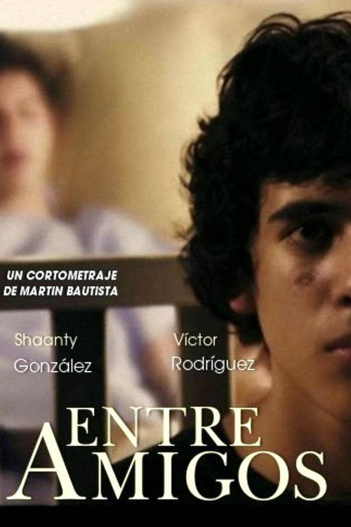Between Friends (2010) poster