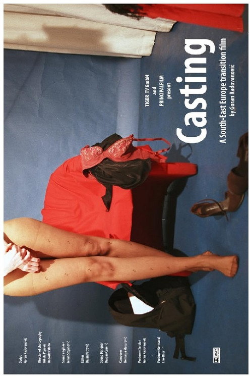 Casting (2003) poster