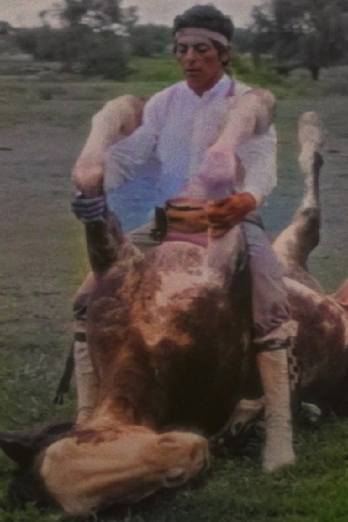The Rider (2023) poster