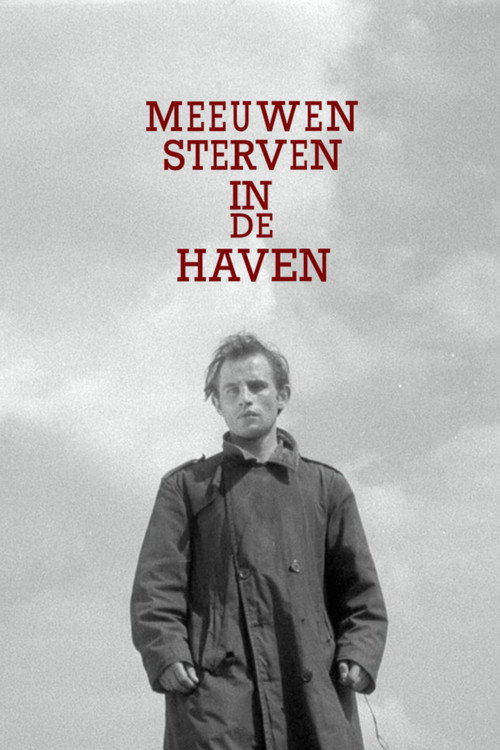 Seagulls Die in the Harbour (1955) poster