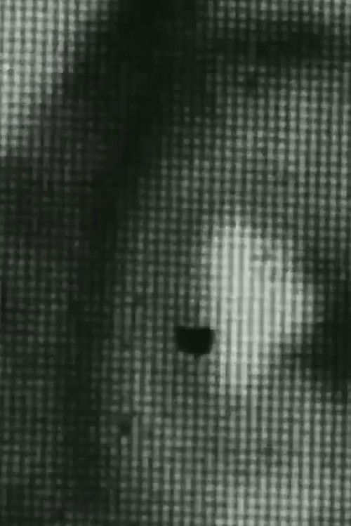 Sever (2020) poster