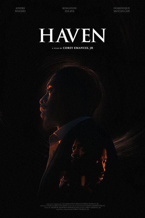 Haven (2024) poster