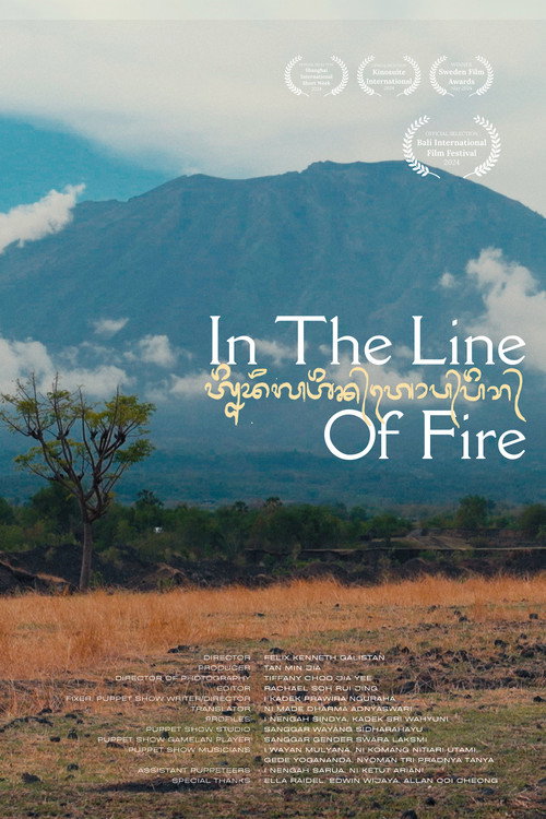 In the Line of Fire (2024) poster