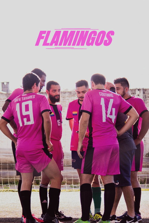 Flamingos (2019) poster