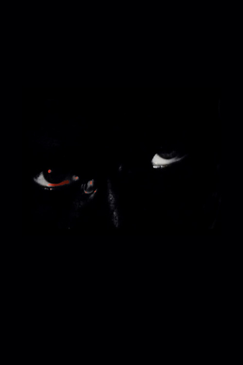 Projection (2024) poster