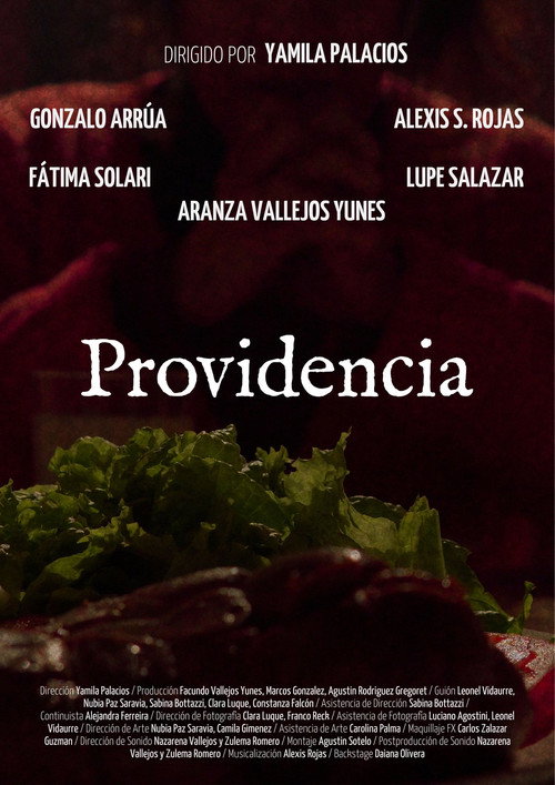 Providence (2025) poster