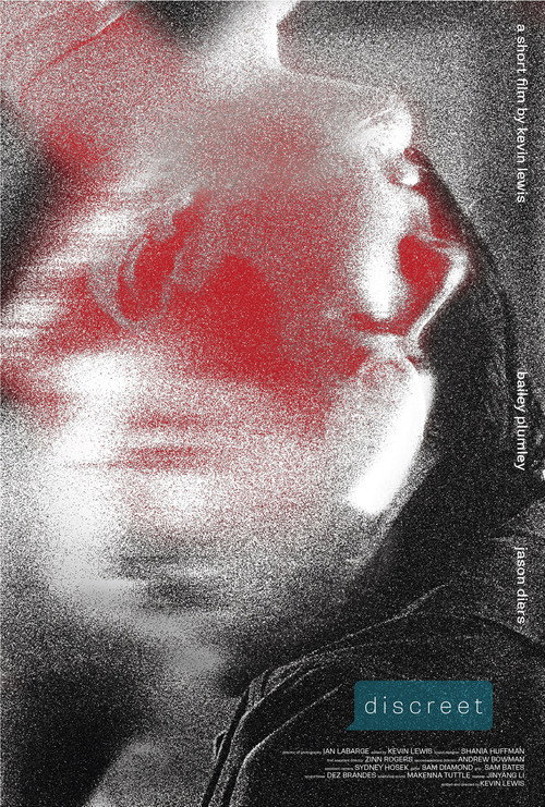 Discreet (2025) poster
