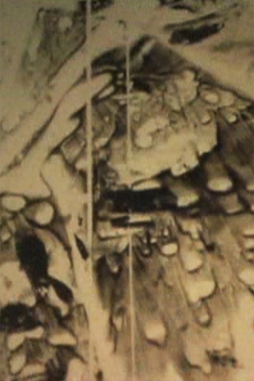 Thaw (2006) poster