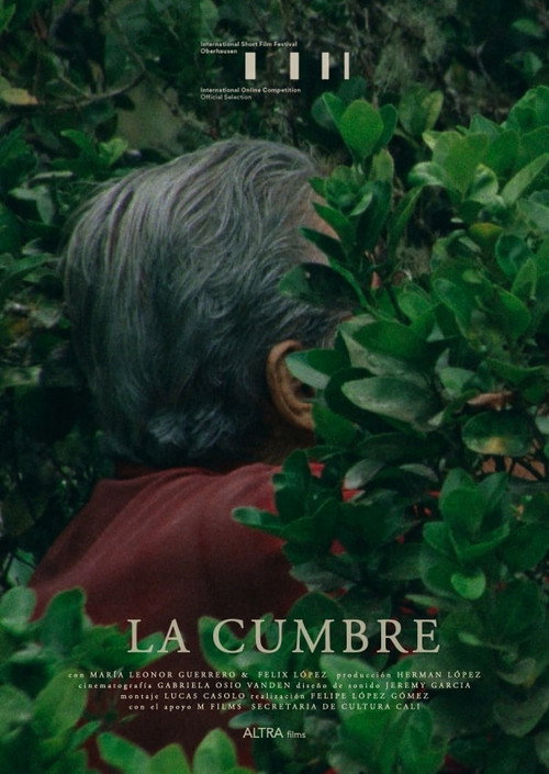 La Cumbre (2021) poster