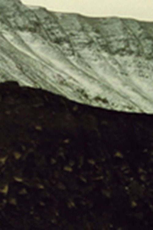 Adrift (2004) poster