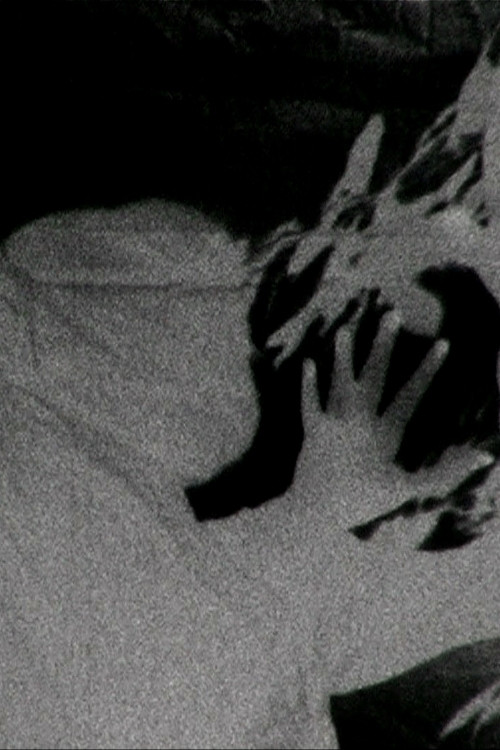 METAMORPHOSE (2012) poster