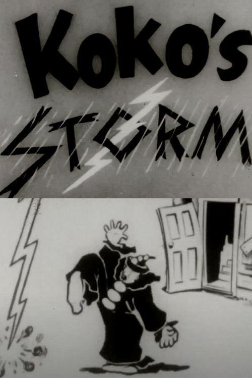 The Storm (1924) poster