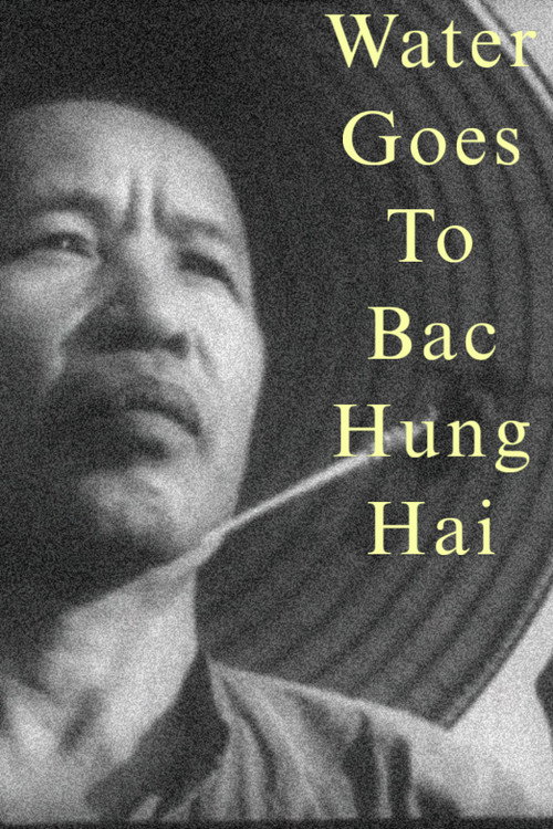 Water Goes to Bac Hung Hai