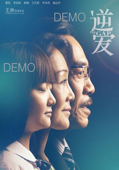 The Gap (2016) poster