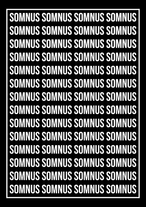 somnus (2024) poster