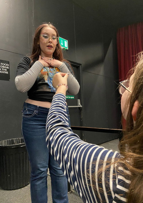 The Proposal (2026) poster