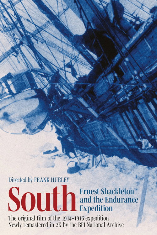 South (1919) poster