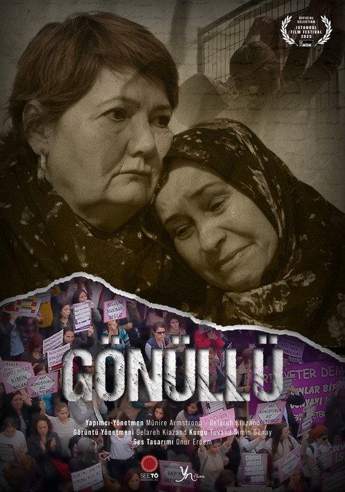 The Volunteer poster