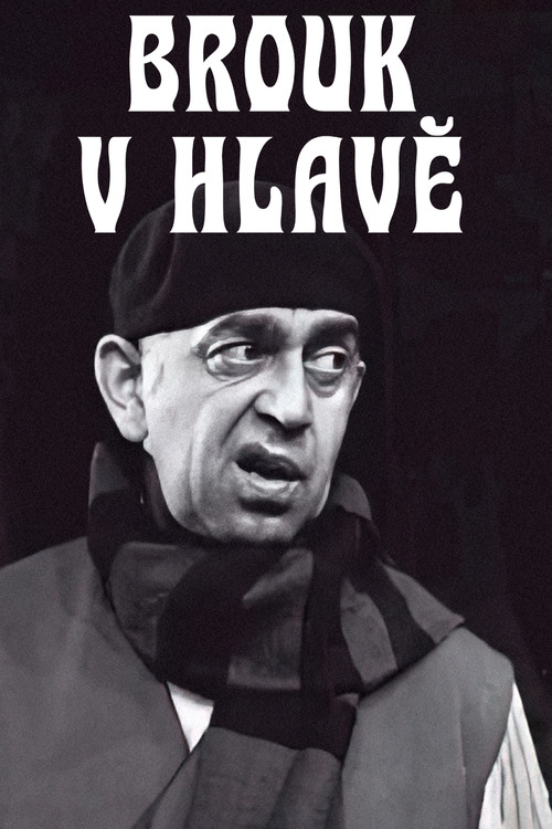 Brouk v hlavě