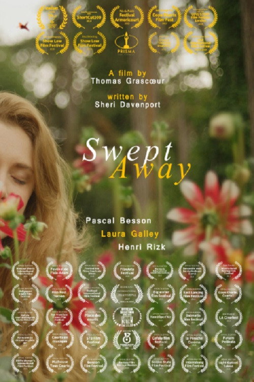 Swept Away poster