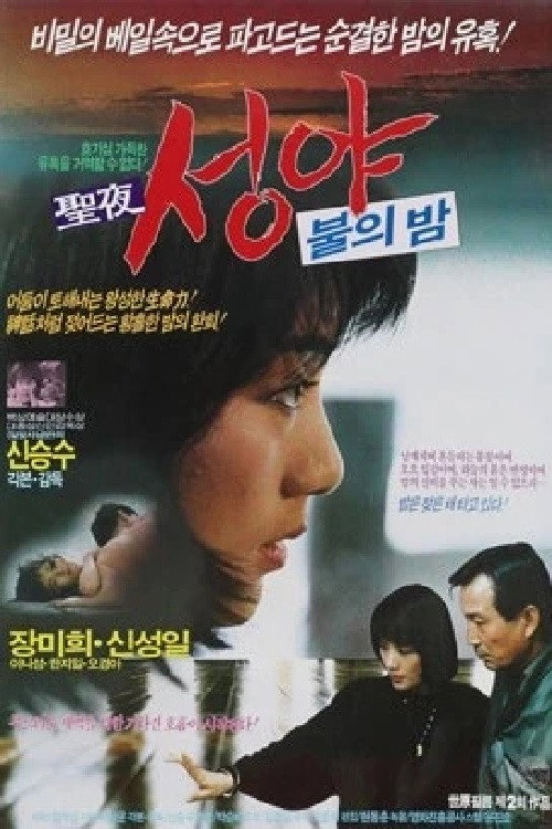 Holy Night (1988) poster
