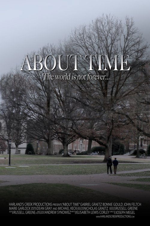 About Time (2013) poster
