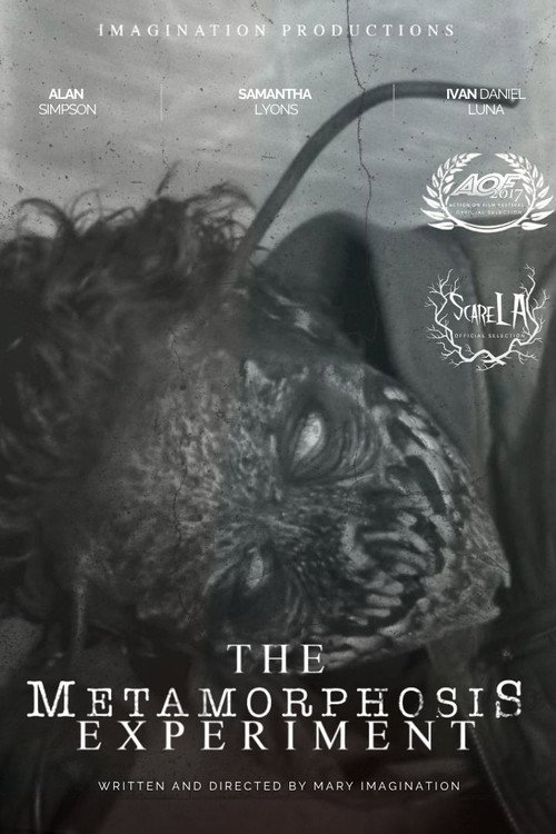 The Metamorphosis Experiment