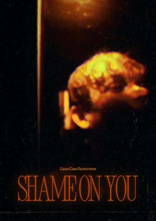 Shame on You (2026) poster